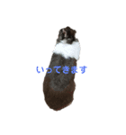 みみとむむのきもち（個別スタンプ：9）