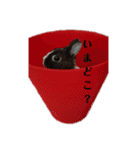 みみとむむのきもち（個別スタンプ：14）