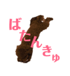 ぼくエース（個別スタンプ：3）