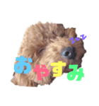 ぼくエース（個別スタンプ：4）