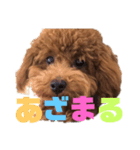 ぼくエース（個別スタンプ：5）