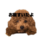 ぼくエース（個別スタンプ：6）