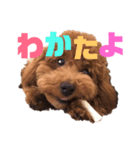 ぼくエース（個別スタンプ：7）