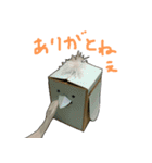 いとしのロボット（個別スタンプ：19）