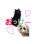 ぼあは（個別スタンプ：2）