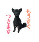 ぼあは（個別スタンプ：3）