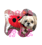ぼあは（個別スタンプ：4）