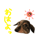 ろーずちゃんスタンプ（個別スタンプ：2）