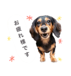 ダックスの可愛いスタンプ（個別スタンプ：8）
