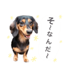 ダックスの可愛いスタンプ（個別スタンプ：22）