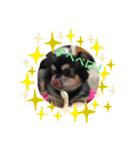 犬のピースくんと時々えびぞうスタンプ（個別スタンプ：18）