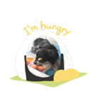 犬のピースくんと時々えびぞうスタンプ（個別スタンプ：28）