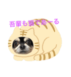 犬のピースくんと時々えびぞうスタンプ（個別スタンプ：33）