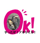 魚釣りスタンプ（個別スタンプ：2）