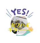 魚釣りスタンプ（個別スタンプ：6）