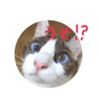 しお大福の味vol.2（個別スタンプ：1）