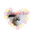 しお大福の味vol.2（個別スタンプ：2）