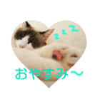 しお大福の味vol.2（個別スタンプ：3）