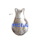 しお大福の味vol.2（個別スタンプ：4）