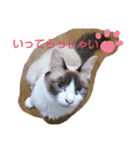 しお大福の味vol.2（個別スタンプ：8）