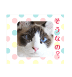 しお大福の味vol.2（個別スタンプ：9）