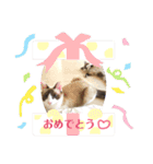 しお大福の味vol.2（個別スタンプ：15）