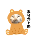 猫ちゃんスタンプ(ほぼメメ)（個別スタンプ：22）