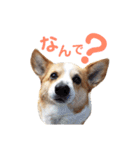 山本オセロ-2-（個別スタンプ：13）