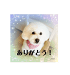 まる子と仲間たち stamp（個別スタンプ：2）