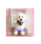 まる子と仲間たち stamp（個別スタンプ：3）