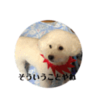 まる子と仲間たち stamp（個別スタンプ：15）