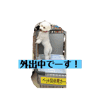 まる子と仲間たち stamp（個別スタンプ：24）