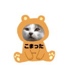 にゃん＆ワン♡ライフ（個別スタンプ：14）