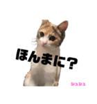 Rcat 長女シュシュ 関西弁猫（個別スタンプ：4）