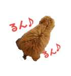 高篠ロペ③（個別スタンプ：3）