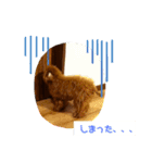 高篠ロペ③（個別スタンプ：4）