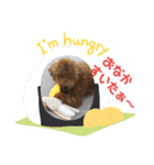 高篠ロペ③（個別スタンプ：9）