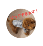 高篠ロペ③（個別スタンプ：10）