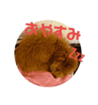 高篠ロペ③（個別スタンプ：12）