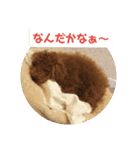 高篠ロペ③（個別スタンプ：13）