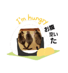 あさみさんちのにゃんこ（個別スタンプ：6）