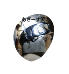 Beetleスタンプ(カブトムシ)（個別スタンプ：1）