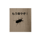 Beetleスタンプ(カブトムシ)（個別スタンプ：7）