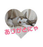 メイ・ユニ・ララ（個別スタンプ：3）