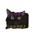 メイ・ユニ・ララ（個別スタンプ：8）
