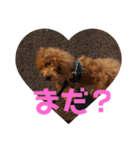 むぎちゃタンプ（個別スタンプ：3）