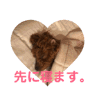 むぎちゃタンプ（個別スタンプ：5）