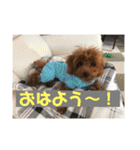 むぎちゃタンプ（個別スタンプ：7）