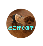 むぎちゃタンプ（個別スタンプ：8）