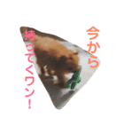 むぎちゃタンプ（個別スタンプ：12）